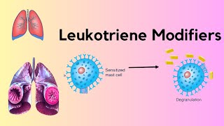 Leukotriene Receptor Antagonist [upl. by Eocsor224]