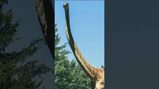 The Amazing World of Dinosaur  Sauroposeidon  The Tallest Dinosaur facts dinosaur environment [upl. by Mure]