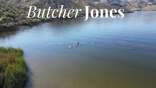 Arizona Saguaro Lake Butcher Jones Cove [upl. by Hanoj]