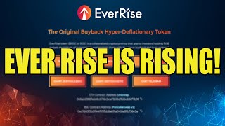 EverRise Token Is Pumping to All Time Highs EverRise Rising To Massive Gains EVERRISE [upl. by Etnelav516]