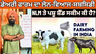 ਡੇਅਰੀ ਫਾਰਮਿੰਗ  Dairy Farm Business  Dairy Farm Loan in Punjab  Pashu Shed Yojana 2024 NLM Scheme [upl. by Clim]