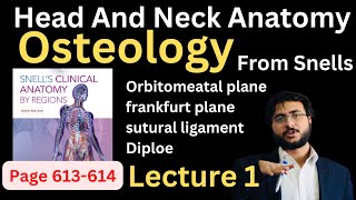 Osteology of the skull 6 cranial cavity [upl. by Odraboel36]