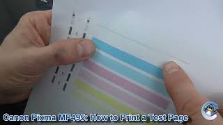 Canon Pixma MP495 How to Print a Nozzle Check Test Page [upl. by Inesita]