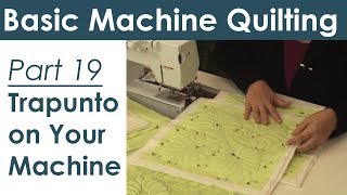 Trapunto on Your Home Sewing Machine Machine Quilting [upl. by Sugirdor]