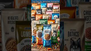 Top Dog Foods for Sensitive Stomachs What You Need to Know [upl. by Filippo]