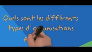 MDO Les différents types dorganisations publiques [upl. by Kauslick812]