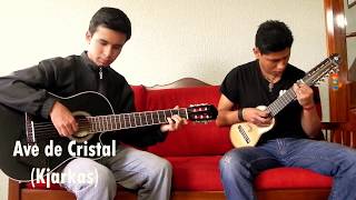 🎸INTROS CHARANGO KJARKAS 2🎶‼️Ave de Cristal  Quiero saber  Phuru Runas  Antawara  A nadie🇧🇴 [upl. by Aicile]