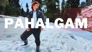 Pahalgam travel guide  Complete Pahalgam Travel Guide  Pahalgam Kashmir  Kashmir Vlog  Aam Yatri [upl. by Brey]