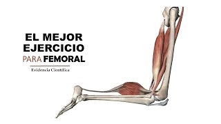 VIDEOpaper El mejor ejercicio para FEMORAL [upl. by Vic644]