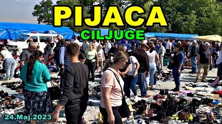 Pijaca Ciljuge nikad bolja i jeftinija 2452023 [upl. by Anitsirhc53]