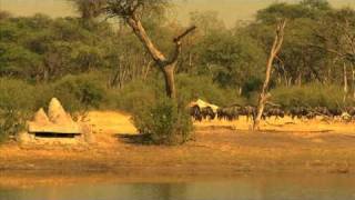 The Hide Safari Camp in Hwange [upl. by Cote]