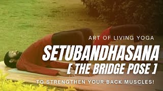 Setubandhasana  The Bridge Pose  Art of Living Yoga  Sri Sri Yoga [upl. by Lola]