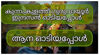 കുന്നംകുളത്ത് ഗുരുവായൂർഇന്ദ്രസൻ ഓടിയപ്പോൾviralvideo viral pooram2024 guruvayoor kunnamkulam [upl. by Anirahc]