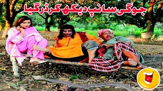 funny snake charmer  nakali Jogi baba  funny faisalabad tasleemabbas ranaijaz sajjadjani [upl. by Shifrah]