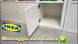 Guida al montaggio della struttura interna con anta per Kallax  Sportello Ikea  How to Diy [upl. by Latsryk]