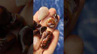 fire agates sun stones and opal polishing with a Dremel tool [upl. by Dorrehs975]