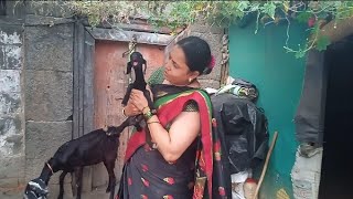 Jayshree आणि ghebharari is live [upl. by Oiratnom]