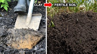 How To Improve Clay Soil  Loosen Aerate Compacted Soil [upl. by Euphemiah883]