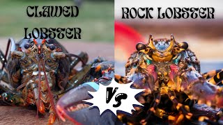 Clawed Lobster vs Spiny rock lobster [upl. by Winfred]