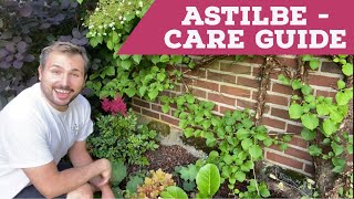 Astilbe Care Guide  7 Easy Steps [upl. by Fermin]