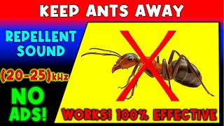 ANTI ANTS REPELLENT SOUND ⛔🐜 KEEP ANTS AWAY  ULTRASONIC SOUND [upl. by Jaf459]