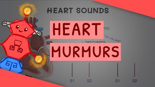 Cardiology for Beginners Basics of Heart Sounds and Murmurs with examples [upl. by Pompei167]