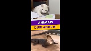 Animais Dublados [upl. by Diva]