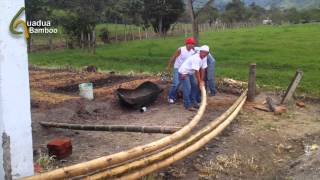 Bending Dry Bamboo Poles [upl. by Norraf]