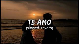 Te Amo Slowed  Reverb Version Song [upl. by Kroo]