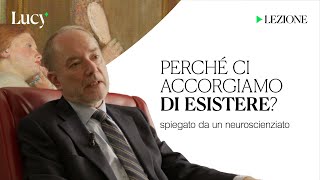 Perché ci accorgiamo di esistere La lezione di Giorgio Vallortigara  Lucy  Sulla cultura [upl. by Carlyn]