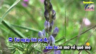 TKaraoke HD 03  Minh Tri  Ngot Ngao Que Me [upl. by Yeltnarb]