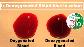 Is deoxygenated blood blue in colour by Simply The Best BIO [upl. by Shirl348]