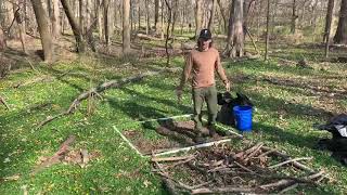 Lesser Celandine Removal [upl. by Harvard]