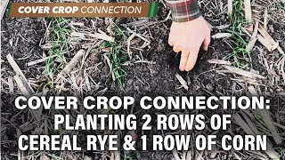 Planting 2 Rows of Cereal Rye amp 1 Row of Corn [upl. by Hsaniva537]