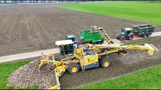 Rübenumschlag Mittelland 🇨🇭 mit Ropa Feldmaus 6d beim Rüben verladen [upl. by Nysa172]