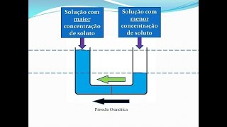 Como funciona a Osmose Reversa  Descrição Básica [upl. by Atilehs]