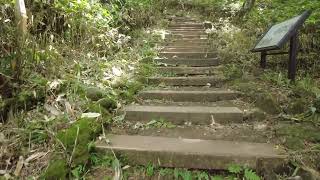 4K Scaling Of Hallasan Mountain Along The Eorimok Hiking Trail JejuDo South Korea Part X [upl. by Yelich]