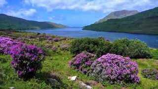 quotThe Irish washerwoman quot by Leroy Anderson [upl. by Habas]