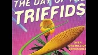 John Wyndham  The Day of the Triffids  Audiobook full [upl. by Ahseyd191]