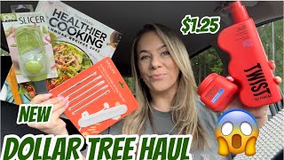 DOLLAR TREE HAUL  NEW  CAR HAUL  AMAZING FINDS [upl. by Illona722]