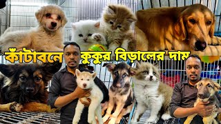 Husky Price in BD  Dog And Cat price in Bangladesh  কাঁটাবনে কুকুর ও বিড়ালের দাম  Persian Price [upl. by Tnecniv844]