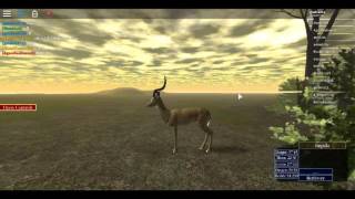 Roblox Wild Savannah Impala jousting [upl. by Mirabella]