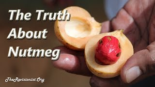 Nutmeg – An Overview of a Psychoactive Spice with Therapeutic Properties [upl. by Aerdnaek]