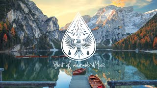 Best of alexrainbirdMusic 2021 🎉  An IndiePopFolkRock Playlist [upl. by Cob]