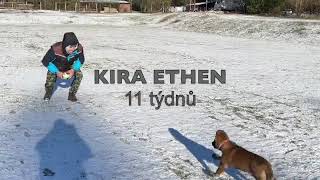 Kira Ethen [upl. by Nuhs]