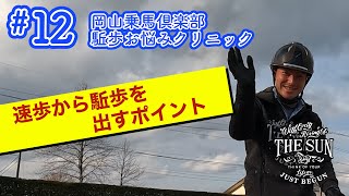 12 速歩から駈歩を出すポイント【乗馬上達 駈歩集中クリニック】  岡山乗馬倶楽部 [upl. by Fahland]