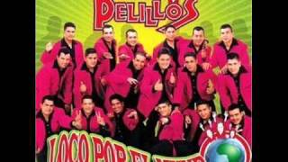 Te regalo mi amor  Banda Pelillos [upl. by Cavan]