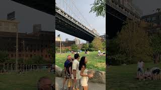 picknick under themanhattan bridge in dumbo brooklyn nyc [upl. by Ahsenahs955]