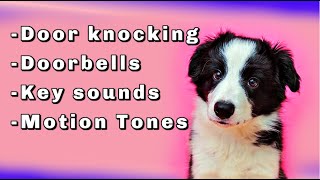 Dog sound desensitization Doorbells knocking and door opening key sounds [upl. by Attenov]