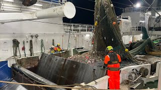 Atlantic Viking trawling the Barents Sea [upl. by Abbi831]